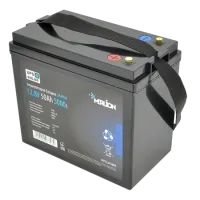Акумуляторна батарея Merlion LiFePO4 12.8V 50AH