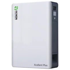 Літієва акумуляторна батарея Renon Xcellent Plus 51.2В 314А•г