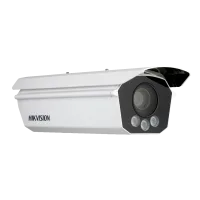 9 МП ІЧ ANPR iDS-TCV900-BI/1140/H1