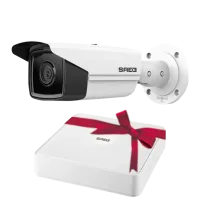 Комплект SafetyEye SE-IPC-4BV1-I4/2.8